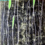 Bright paintings thumbnail 2