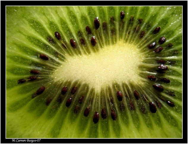 Kiwi Still lifes Color (Digital)