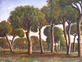 NUM. RF. 2.013 -PAISAJE DE PINOS AL AMANECER.