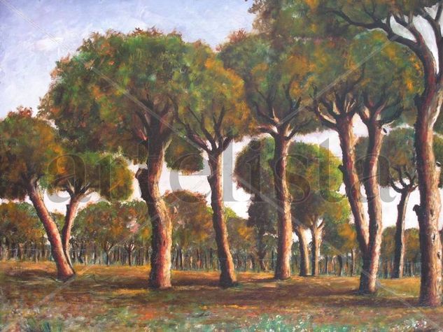 NUM. RF. 2.013 -PAISAJE DE PINOS AL AMANECER. Oil Canvas Landscaping