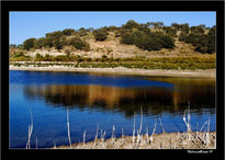 Reflejos de otoño