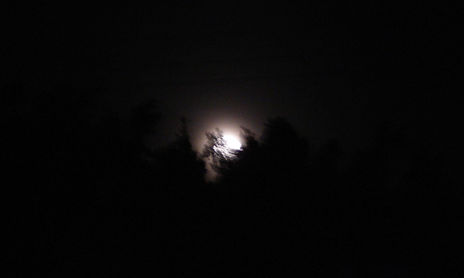 Lunas