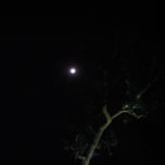 Lunas thumbnail 1