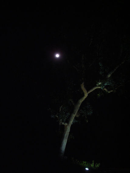 Luna Llena En San...