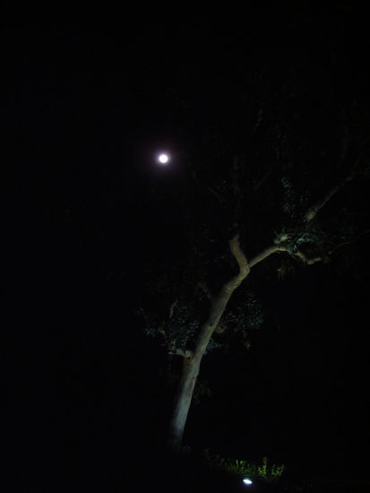 Luna Llena En San Juan Capistrano Naturaleza Color (Digital)