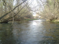 Bajo el manto del agua