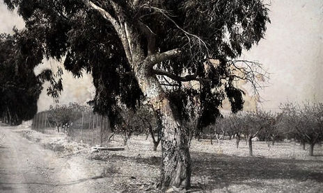 Naturaleza