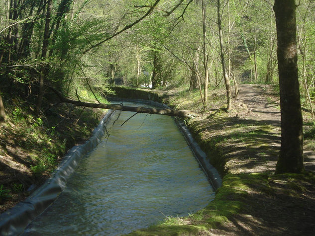 desvio del cauce 