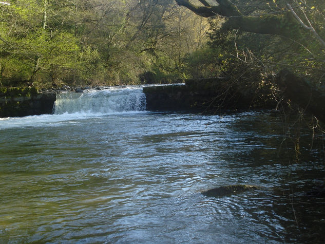 el salto del molino 