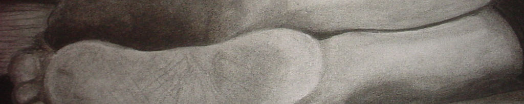 Imagen de portada