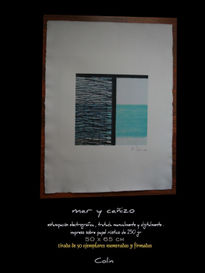 Mar y cañizo