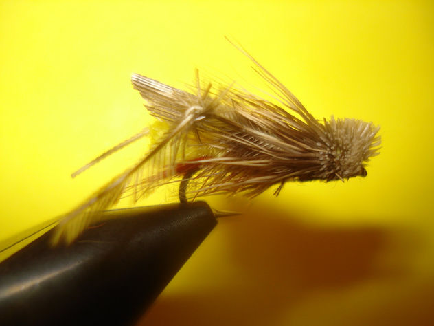 saltamontes de cervido