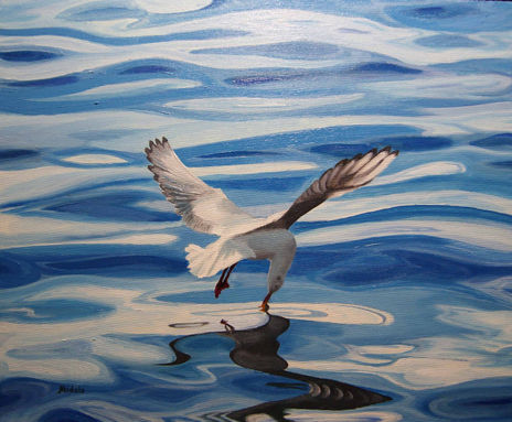 Gaviota