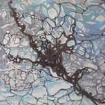2007-2008  LA VIDA thumbnail 1