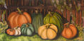 CALABAZAS