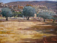 FIÑANA