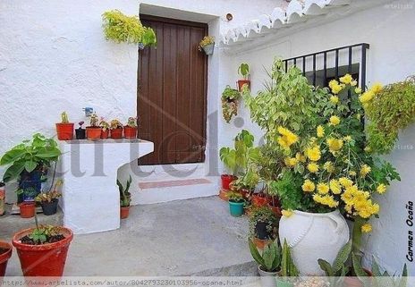 Puerta  Decorada
