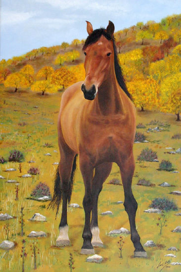 Caballo Oil Canvas Landscaping