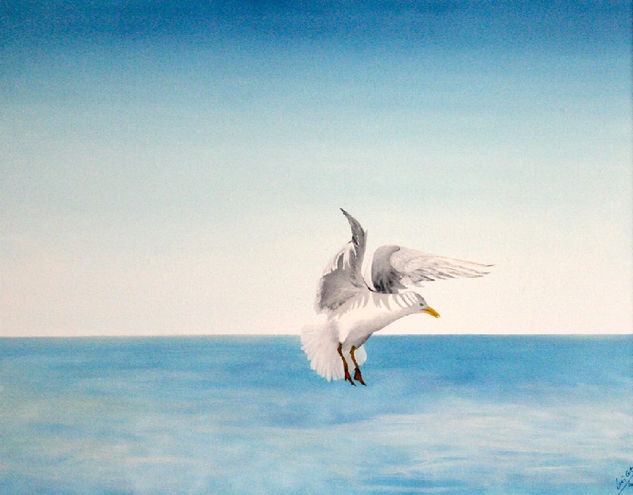 Gaviota Oil Canvas