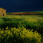 El Camino de Santiago thumbnail 1