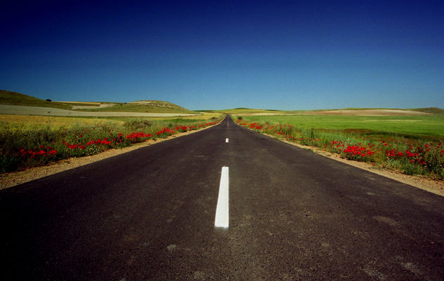 Carretera y horizonte Nature Color (Manual)