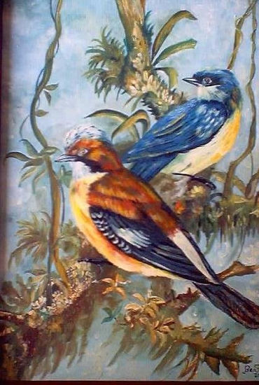 pajaros Oil Canvas Animals