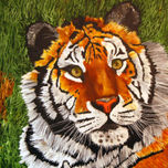 Animales thumbnail 2