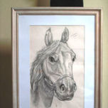 caballos thumbnail 2