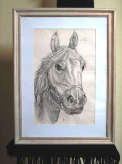 Caballo arabe