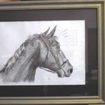 caballos thumbnail 1