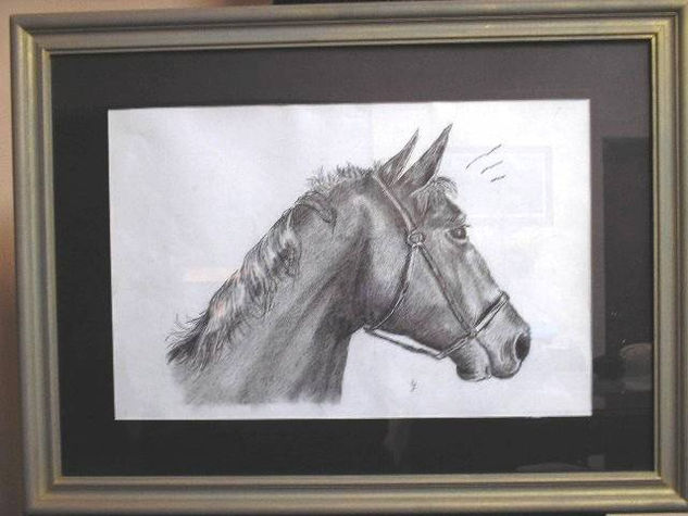 nochero Charcoal