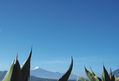 Pico de Orizaba con Maguelles