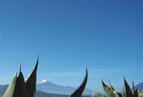 Pico de Orizaba con...