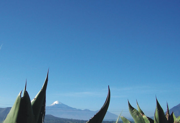 Pico de Orizaba con Maguelles Nature Color (Digital)