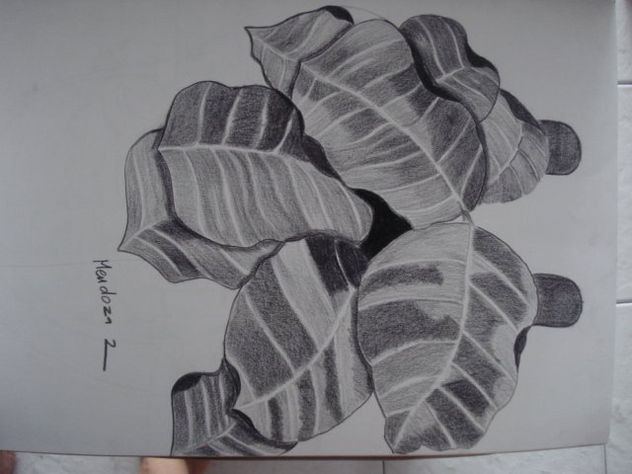 hojas sombrias