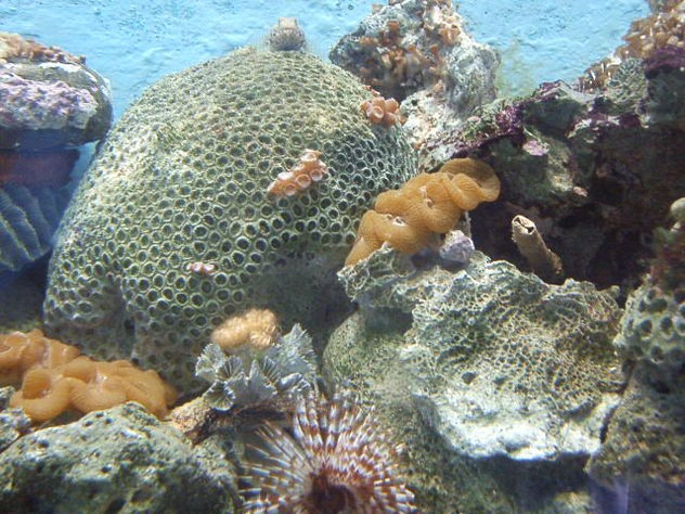 En el mar 3