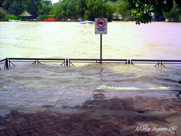 Río crecido Nature Color (Digital)