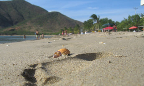 ATRADECERES EN JUAN GRIEGO ( VENEZUELA )