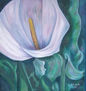 Floreciendo