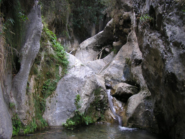 natura