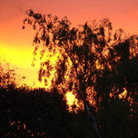 Fotografia thumbnail 2
