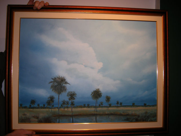 Tormenta en Buena Vista Oil Canvas Landscaping