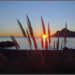 Colección Paisajes de Portman thumbnail 1