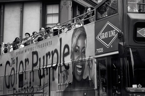 The color purple