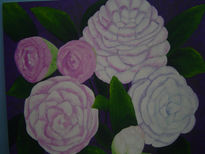 Camelias brancas