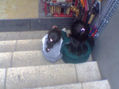 REGAÑADAS