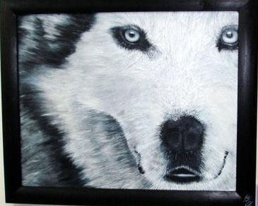 Lobo Oil Canvas Animals