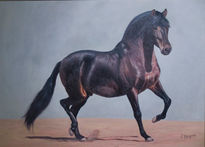 Caballo de p.r.e.