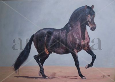 CABALLO DE P.R.E.