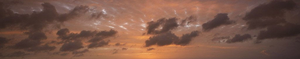 Imagen de portada
